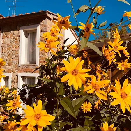 Canto Del Grillo Apartament